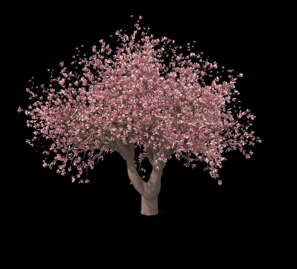 Tree with pink flowers